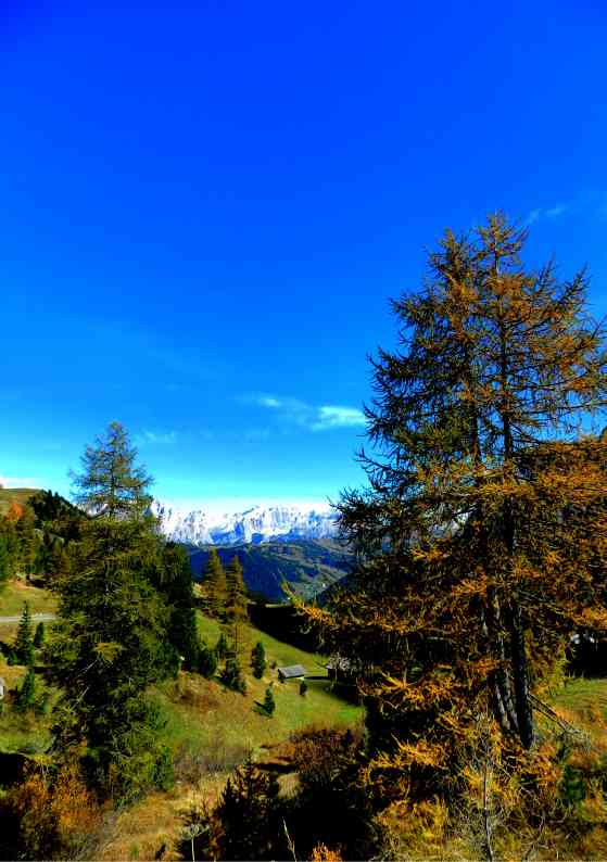 Der Tag – Blogschau – Südtirol